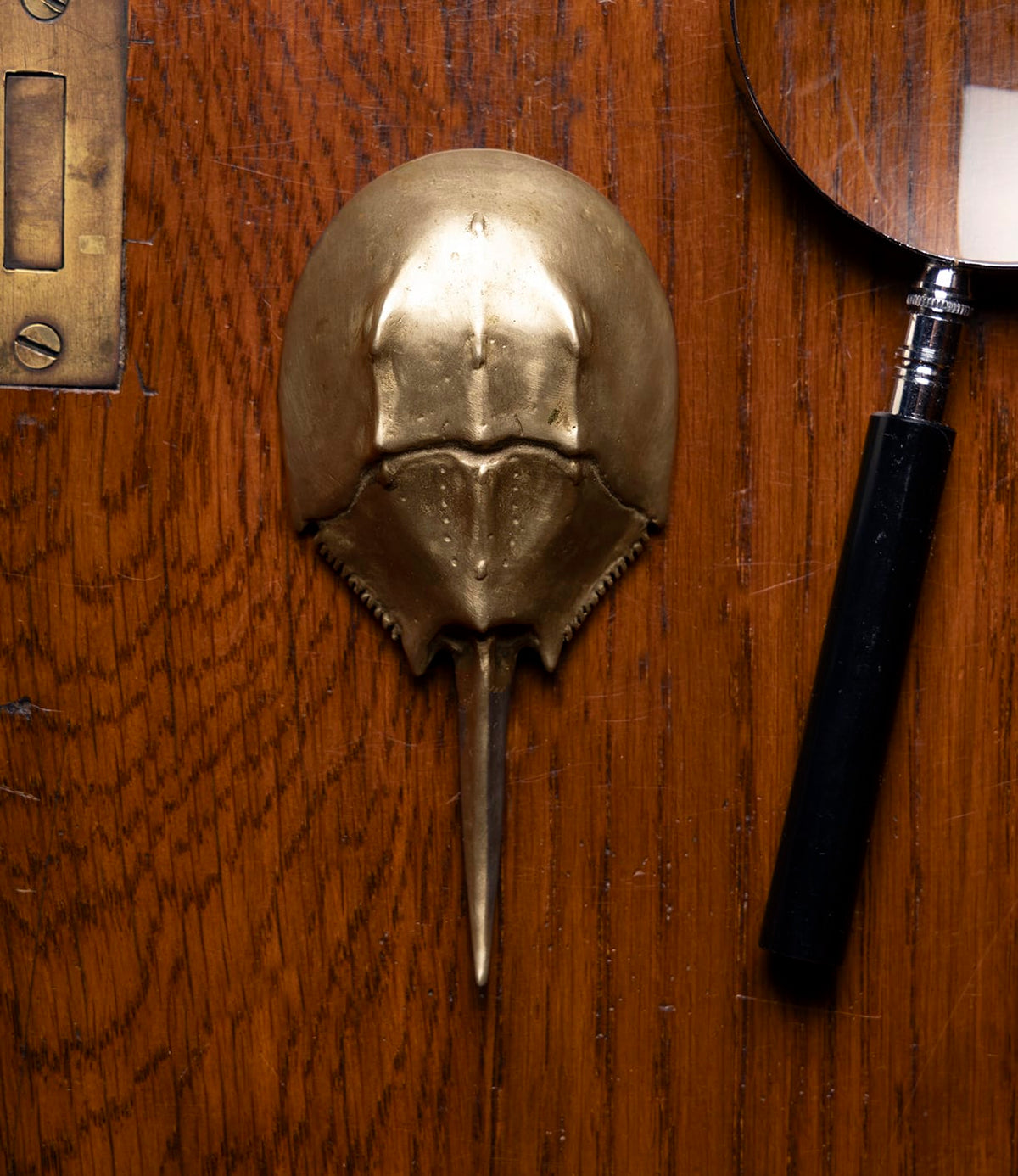 The Best Made Co. Horseshoe Crab Opener, made of brass, rests on a wooden surface beside a black-handled magnifying glass and a brass door latch in the upper left corner.