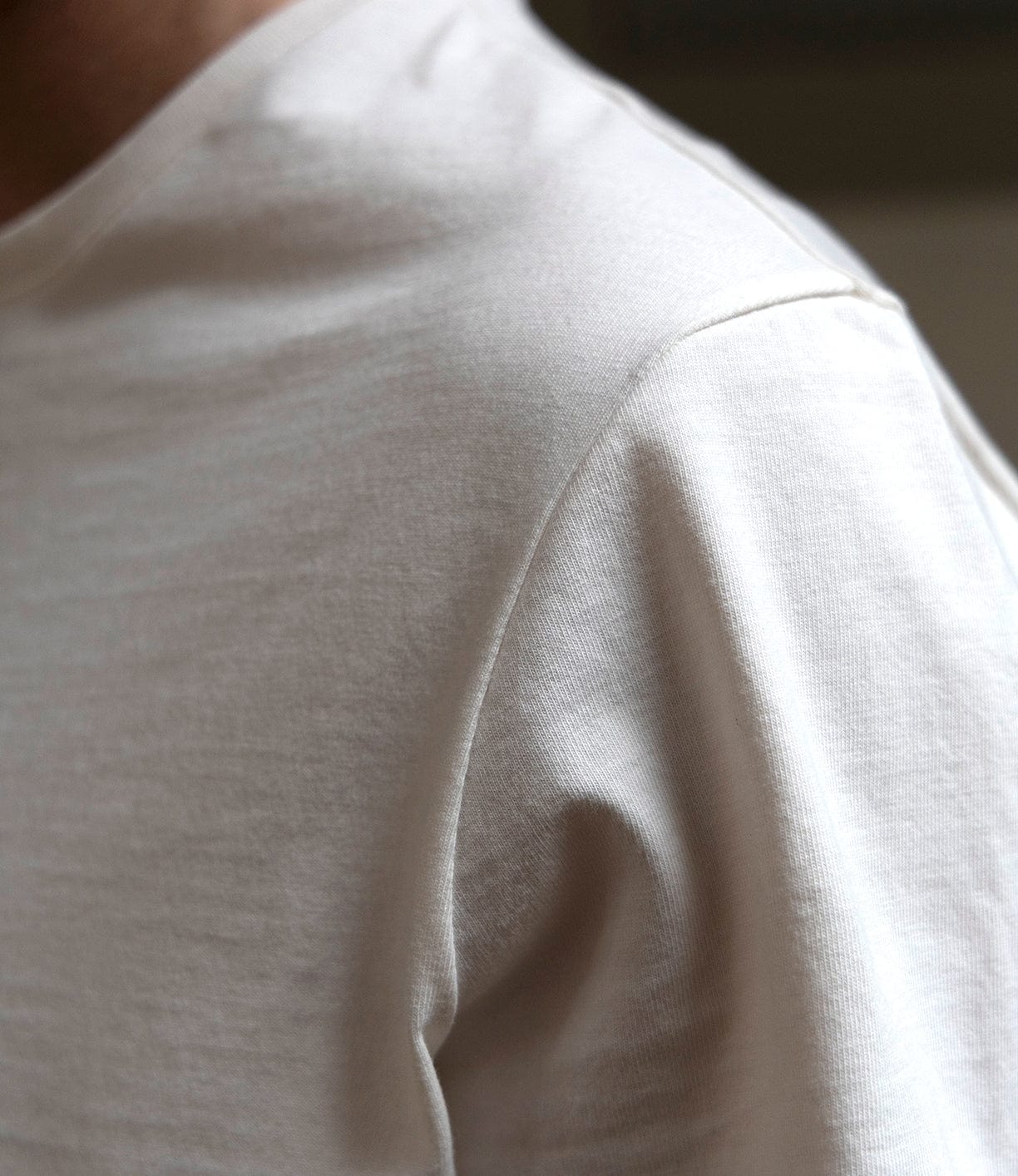 Standard T-Shirt Undyed Apparel Best Made Co
