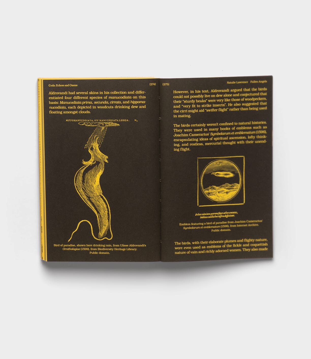 An open book, With a Bird by Best Made Co., displays black pages with yellow text—a sea creature sketch on the left and a floating organism photo on the right—along with descriptive passages from this cross-disciplinary anthology.
