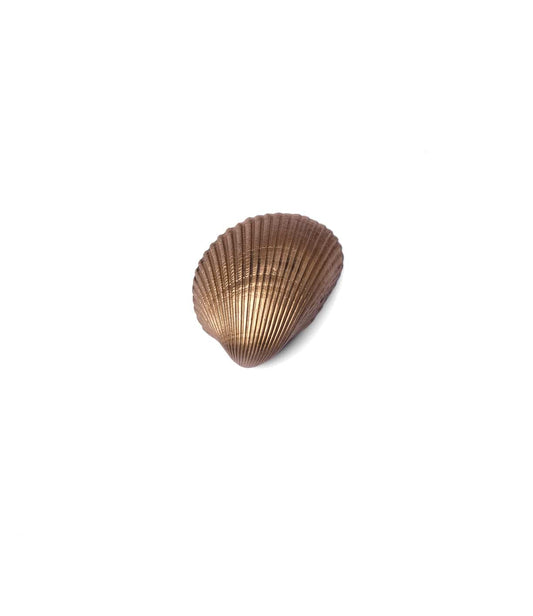 The Best Made Co. Cockle Shell Opener, brass and seashell-shaped, is mounted on richly grained brown wood beside a metal label holder and screw.