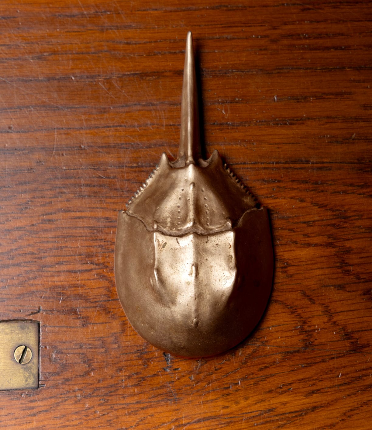 The Best Made Co. Horseshoe Crab Opener, crafted in bronze by lost wax casting, rests on polished wood with a brass plate and screw visible in the lower left corner.