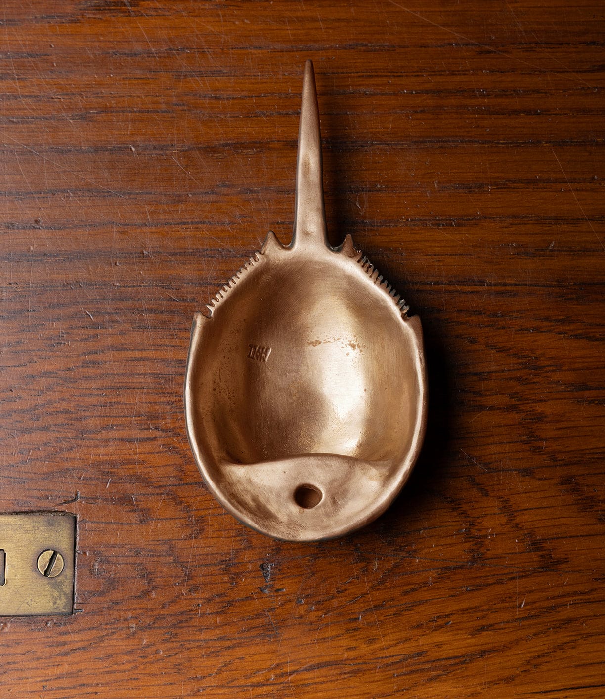 The Best Made Co. Horseshoe Crab Opener, crafted in brown sculptural bronze with lifelike detail using lost wax casting, features a tail and base hole and rests by a brass plate with screw and keyhole on a wooden surface.