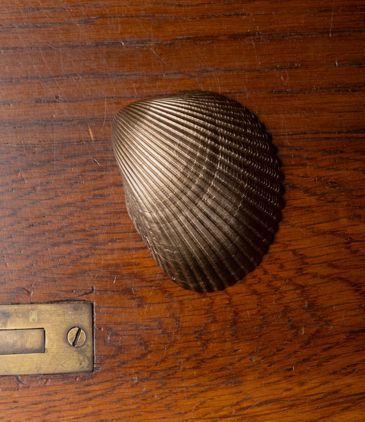 The Best Made Co. Cockle Shell Opener, brass and seashell-shaped, is mounted on richly grained brown wood beside a metal label holder and screw.