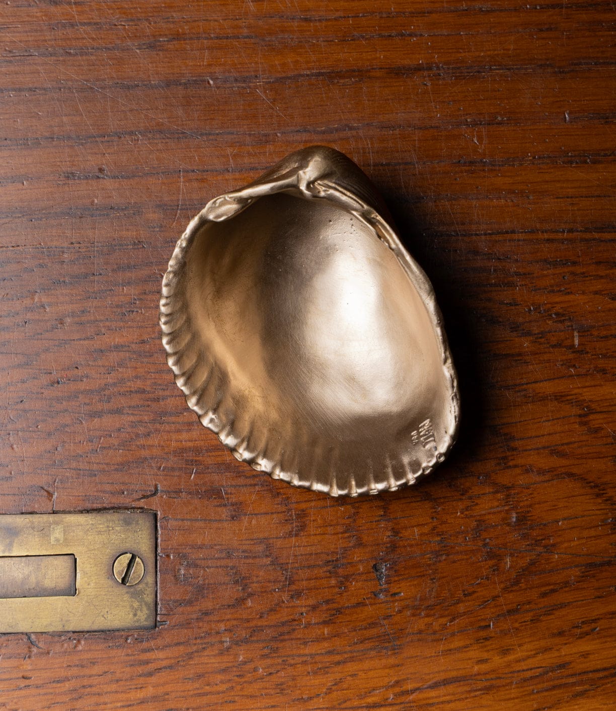 The Best Made Co. Cockle Shell Opener, featuring a metallic gold shell, rests on polished wood beside a brass plate with a screw and slot.