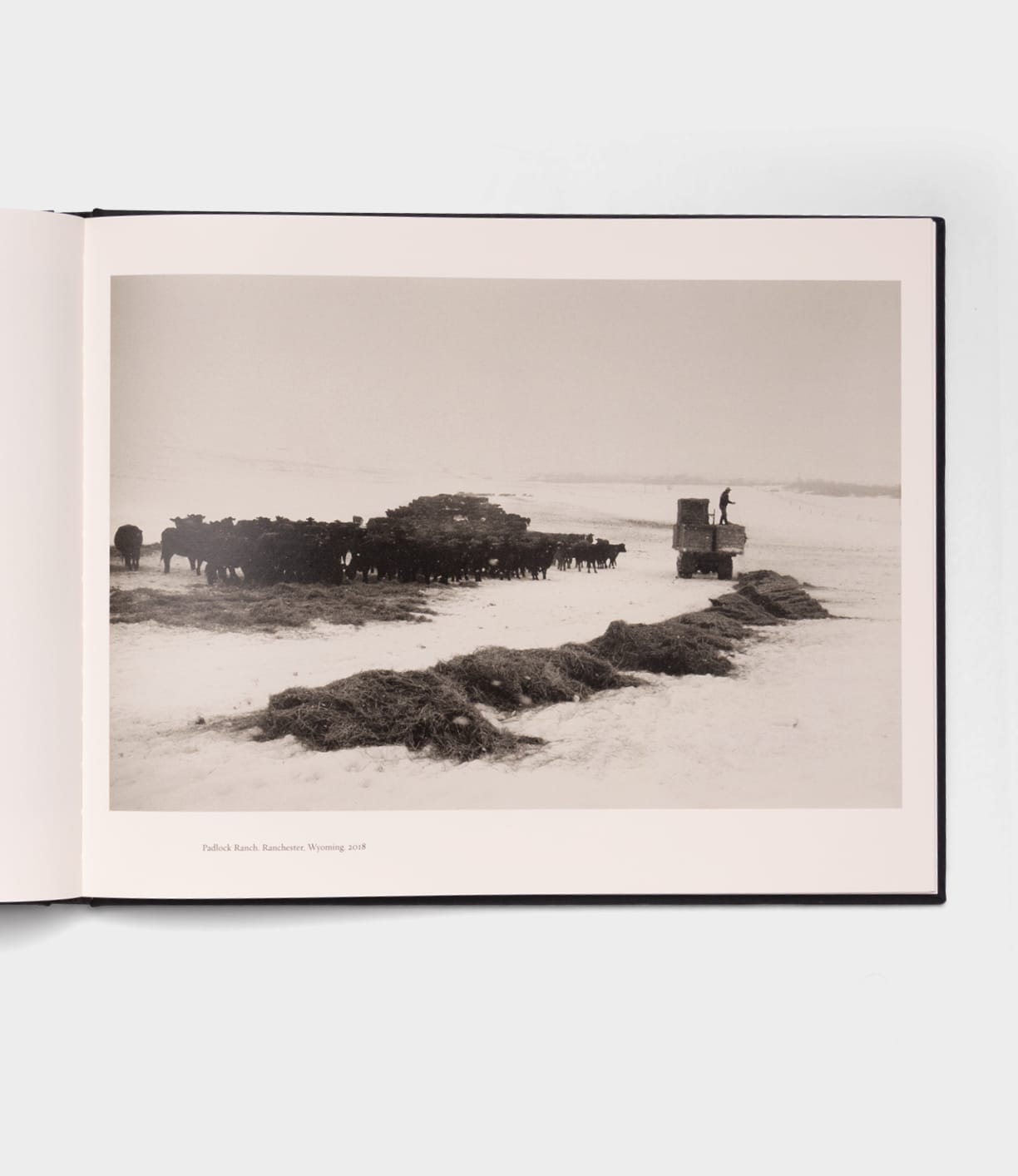 A black and white photo in "Open Range" by Best Made Co. captures cattle feeding on snowy ground as a person stands on a tractor—an evocative rural scene reminiscent of Robert Adams’ style.
