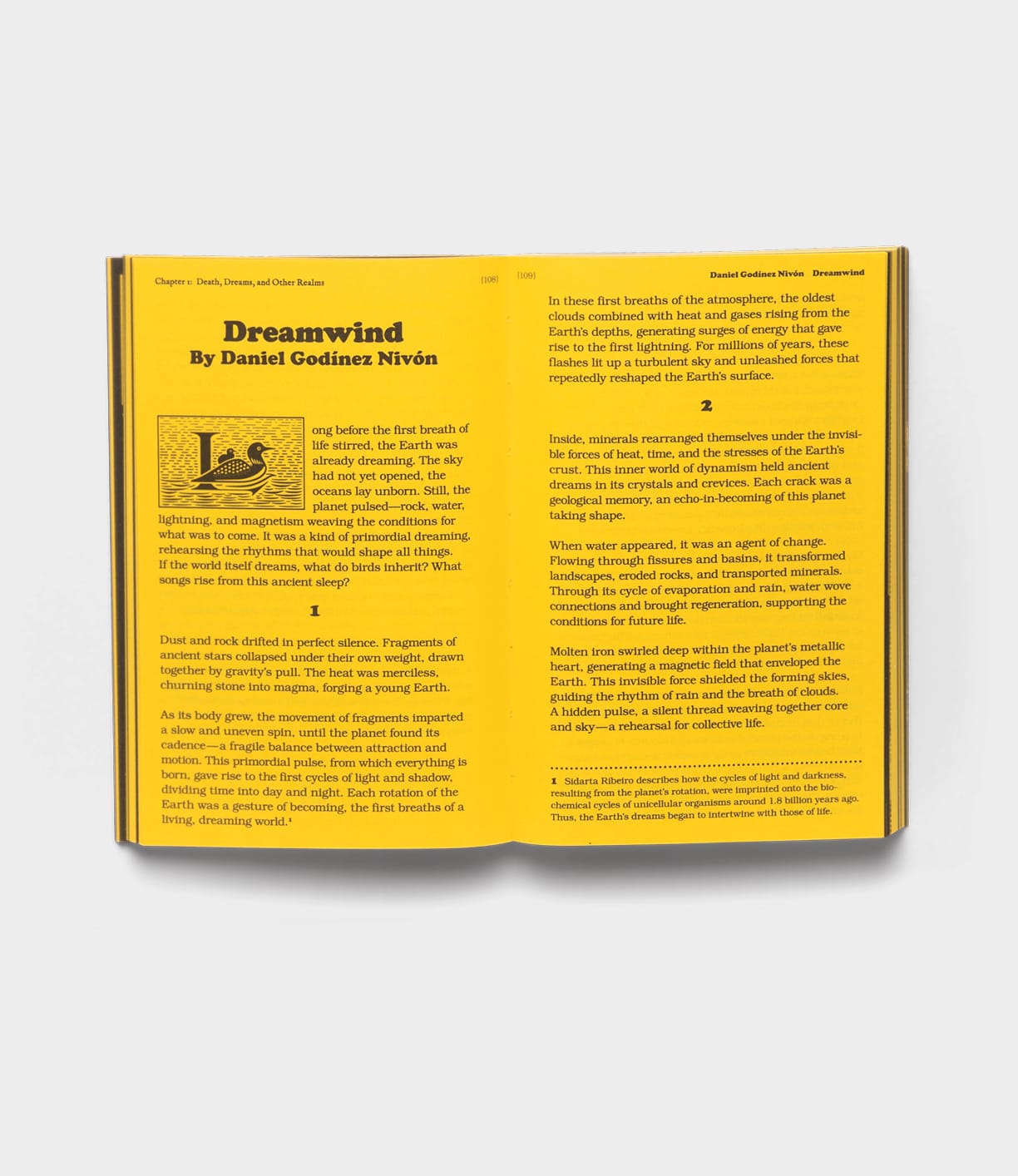 An open book, With a Bird by Best Made Co., shows a yellow page with a decorative letter, short story, bird and wave illustrations; the facing page has two columns of text from this cross-disciplinary anthology.