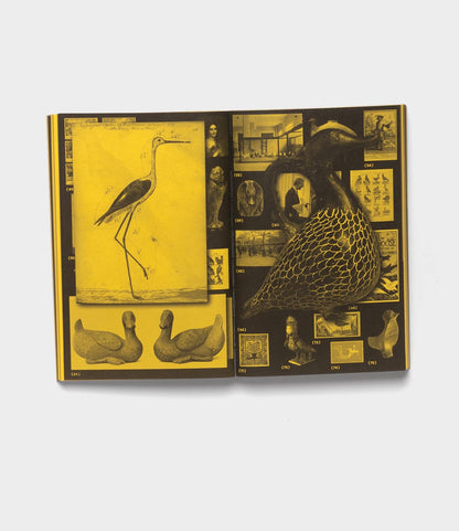 The book "With a Bird" by Best Made Co. opens to yellow-tinted pages filled with black-and-white vintage illustrations and photos of birds, bird sculptures, and artifacts in a cross-disciplinary collage layout.